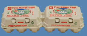 Belview Eggs Medium Free Range Eggs