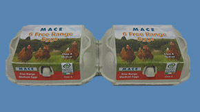 Medium Free Range Eggs
