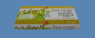 10 Medium Free Range Eggs